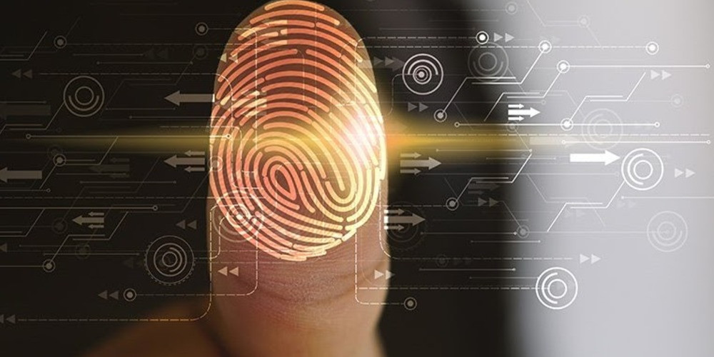 Six Steps to Safeguarding Your Digital Identity